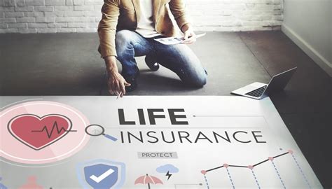 Private Life Insurance vs Govt. Life Insurance: Which is best & Why?