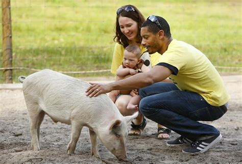 Private Tours – Critter Creek Farm Sanctuary