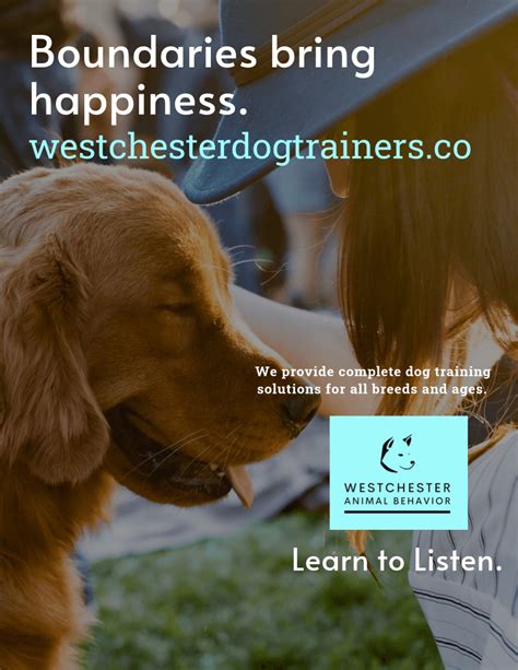 Private dog trainers near me. Dog Trainer Orlando Florida - Family K9 Training ... I have three options to get your dog trained with me. ... I will provide my personal dog for socialization. 