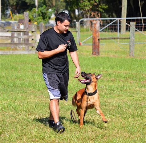 Private dog training. Churches are places of worship, but they are also places that need to be protected from potential threats. That’s why church security training is so important. It helps ensure that... 