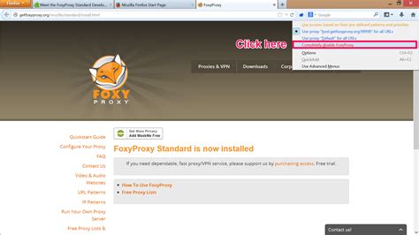Private proxy browser online.  FoxyProxy sells reliable, fast, secure VPN and ...