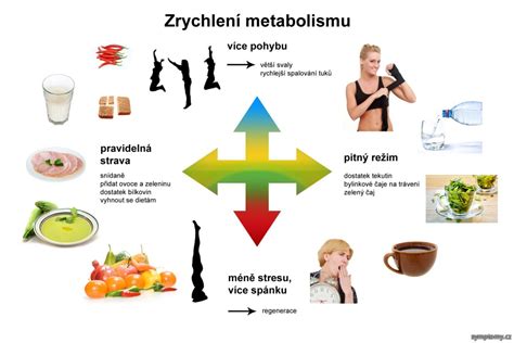 Proč nejít pod bazální metabolismus?