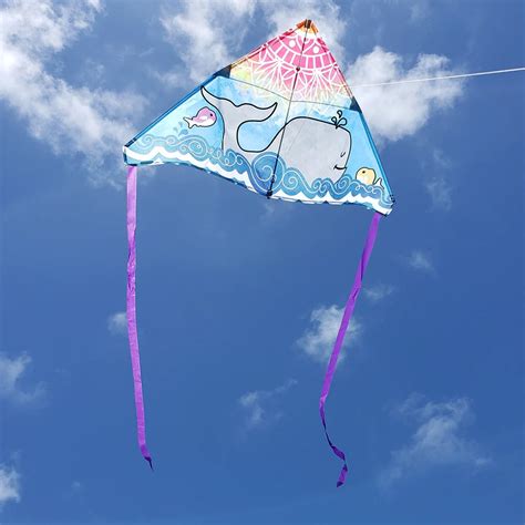 Pro Kites Usa Coupon Coupon & Promo Code Exclusive Special …