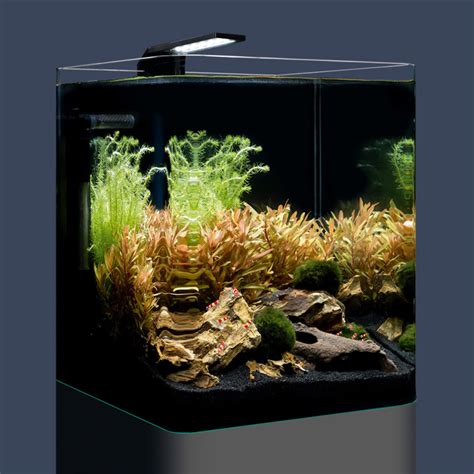 Pro Shrimp UK - Freshwater Shrimp, Nano Aquatics and …