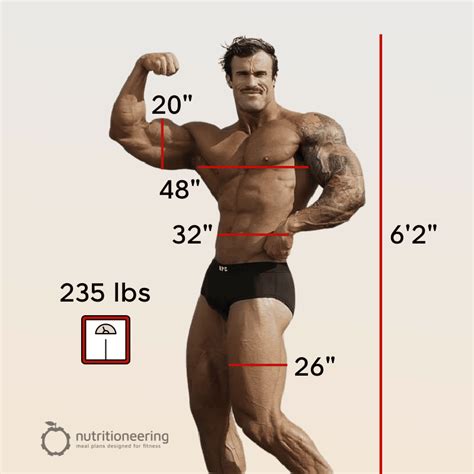 Pro bodybuilder measurements