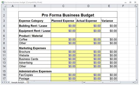 Pro forma business plan sample