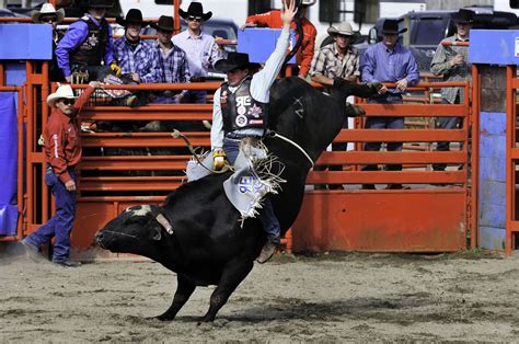 Pro rodeo. Things To Know About Pro rodeo. 