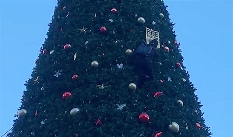 Pro-Palestine protestor climbs on Christmas tree in Union Square, SFPD responds