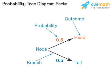 Probability tree explained. In this tree diagram probabili A probability tree is a ...