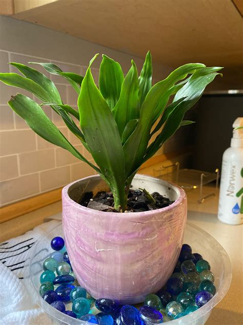 Probablynotyourdaddy Onlyfans Leaked [CLIP] 145 Videos