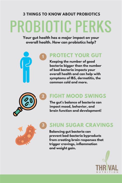 Probiotics 101 How They Work, Health Benefits, Side Effects, And More
