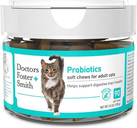 Probiotics For Cats: Best Probiotics to Improve Digestion