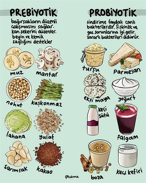 Probiyotik Prebiyotik Sebze Tozu. 