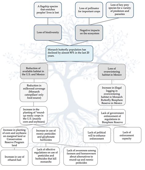 Problem Tree Stories for Impact