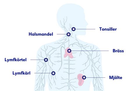 Problem med lymfsystemet symptom