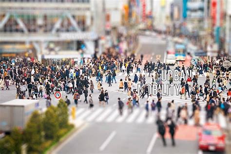 Problems of big cities.  In &hellip; But in cities two of the most pressing problems f...