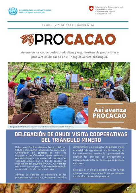 Procacao. Boletin PROCACAO #58. Mejorando las capacidades productivas y organizativas de productores y productoras de cacao en el Triángulo Minero, Nicaragua. Así avanza PROCACAO Reunión de grupos ... 