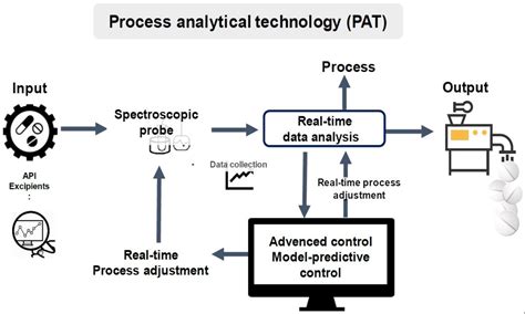 Process analytical technology courses.  PAT enables online, inline, and at-line r...