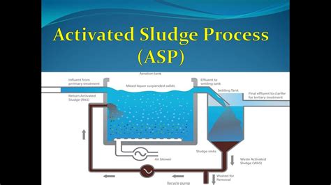 Process control of activated sludge plants by microscopic investigation manual only. - A guide to psychological understanding of people with learning disabilities eight domains and three.