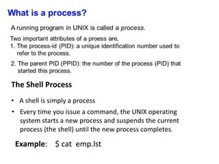 Process creation in unix.  Whenever you execute a command in Linux, the operating system ...