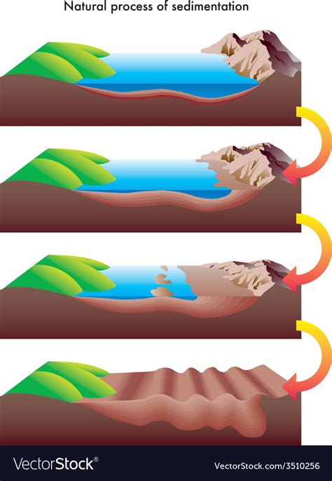 Process of sedimentation Royalty Free Vector Image