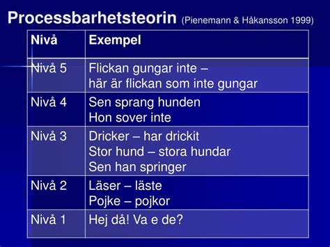 Processbarhetsteorin