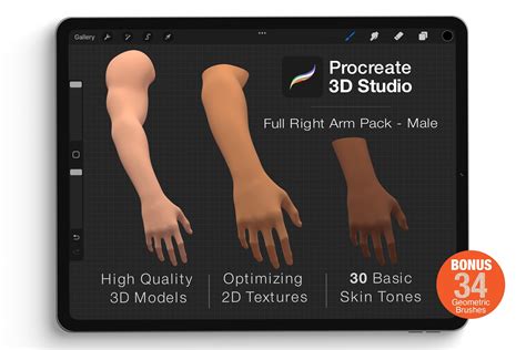 Procreate 3d Model Right Arm male