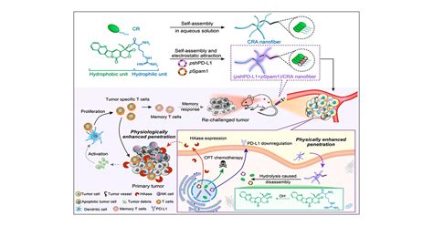 Prodrug-Based Versatile Nanomedicine with Simultaneous …