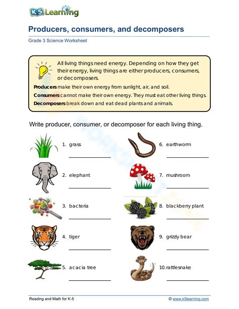 Producers and Consumers Worksheet 2