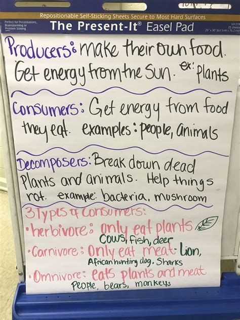 Producers and Consumers Worksheet 3rd Grade Science Chart Producers