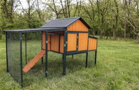 Producers pride chicken coops. Having the ability to move it is quite nice and cleaning is a breeze. Highly recommend the auto door if you can do it. Make sure you get an automatic chicken door. If you go with the Omelette coop get The Omelette chicken door. If you end up with a different coop, I recommend Pullet Shut automatic chicken doors. 