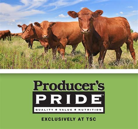 Commercial Feed Easy Keeper Producer's Pride 
