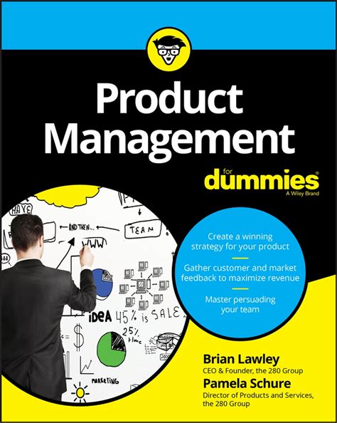 Read Online Product Management For Dummies By Brian Lawley