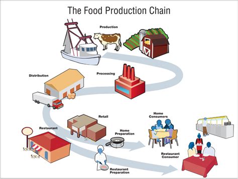 Production chain. Smithfield Meat Company is a renowned name in the meat industry, providing high-quality products to consumers around the world. At Smithfield Meat Company, their commitment to sust... 