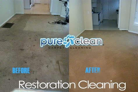 Professional Carpet Cleaning Company In Snohomish, WA Pure Clean