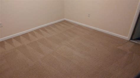 Professional Carpet Cleaning Image Holiday Florida Sample 3