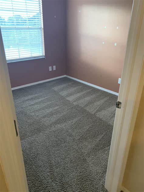 Professional Carpet Cleaning Image Holiday Florida Sample 5