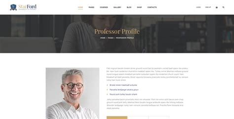 Professor Website Templates from ThemeForest