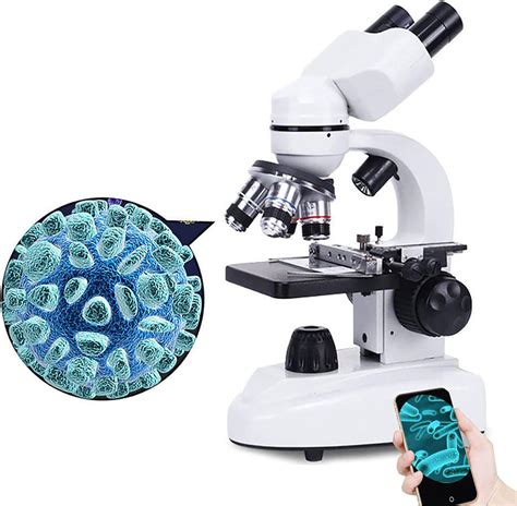 Profesyonel Okul Mikroskobu benmoda. 