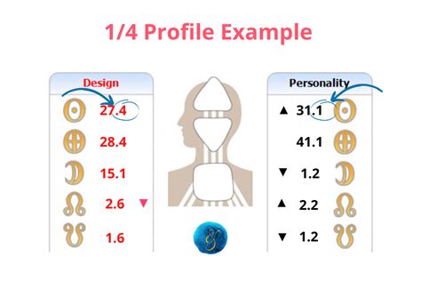 Profile 1/4 My Human Design