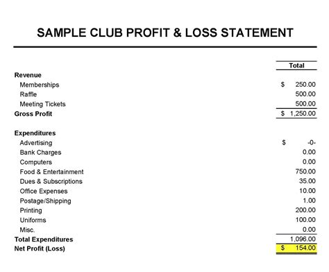 Profit And Loss For Nonprofit Financial Statement Canariasgestalt