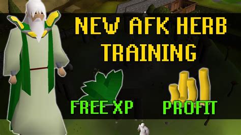 Profitable herblore osrs. OldSchool Runescape (OSRS) LVL 1-99 Herblore Guide. Herblore is a skill generally considered to be a buyable, whereby with the right amount of OSRS gold, you can essentially pay to achieve extremely fast XP in comparison to other skills within the game. XP rates vary, but you can expect to gain approximately 300k XP per hour even from … 