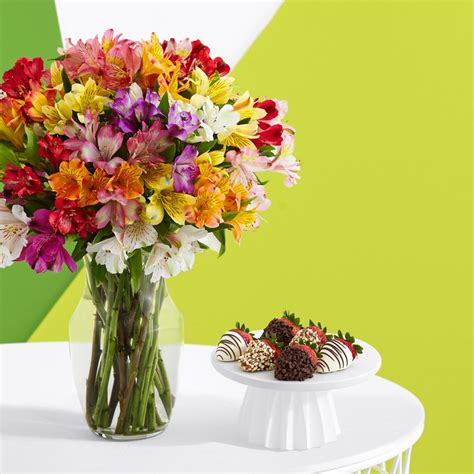 Proflowers proflowers. Proflowers is a leader in online gift-giving and flower delivery, providing customers around the world with a marketplace of beautiful bouquets, long-lasting plants, and gourmet gift baskets. Shop our collections to find the right gift for any occasion, and give them something unforgettable today. From birthdays to holidays to the moments you ... 