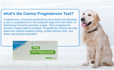 Progesterone Test for Dogs