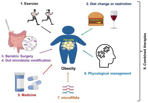 Program Advances Technology Treatments for GI Metabolic Issues