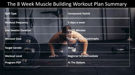 Program Building Strength Muscle