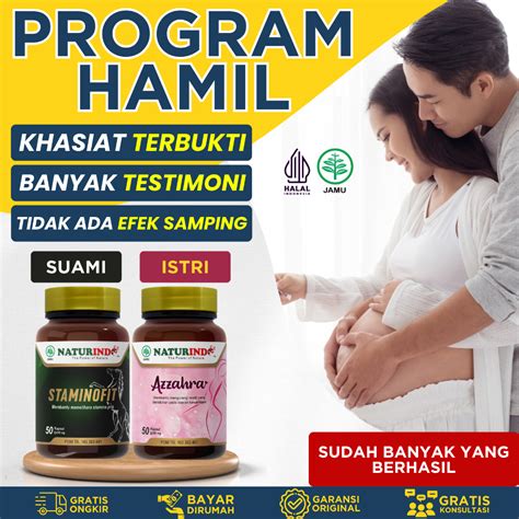 Program Hamil