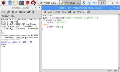 Program a Raspberry Pi: Terminal and Python IDLE.
