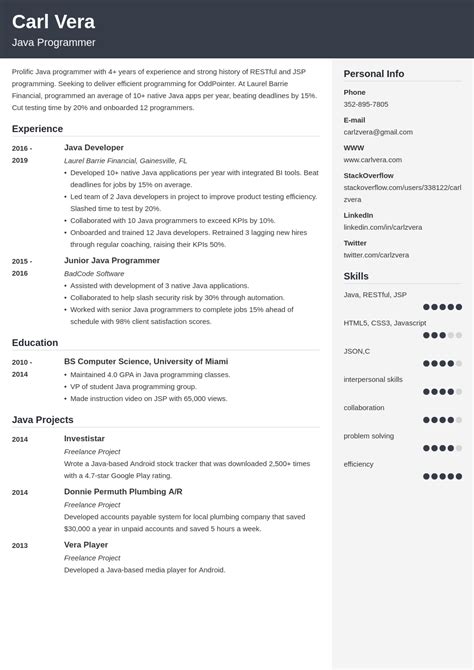 Programmer CV—Examples and 25+ Writing Tips