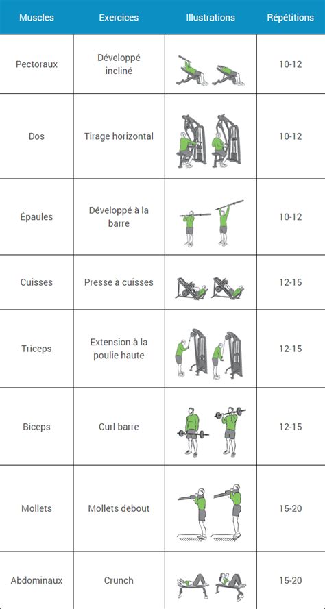 Programmes de musculation